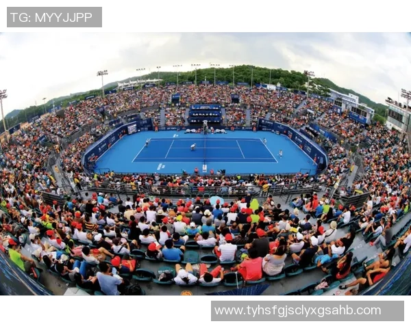 南京网球队勇闯奥运赛场展现逆袭精神与辉煌成就